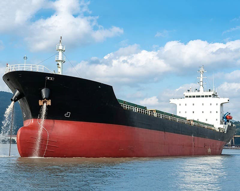 12,500-ton bulk carrier built in 2021