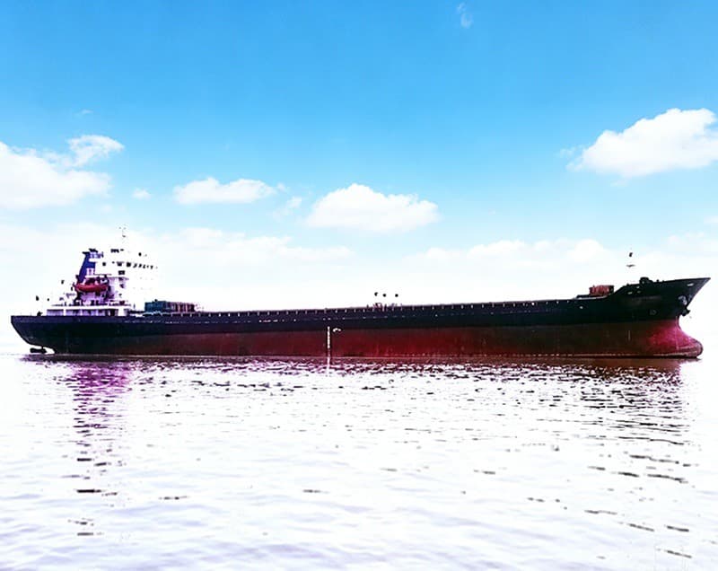 4,491-ton bulk carrier built in 2008
