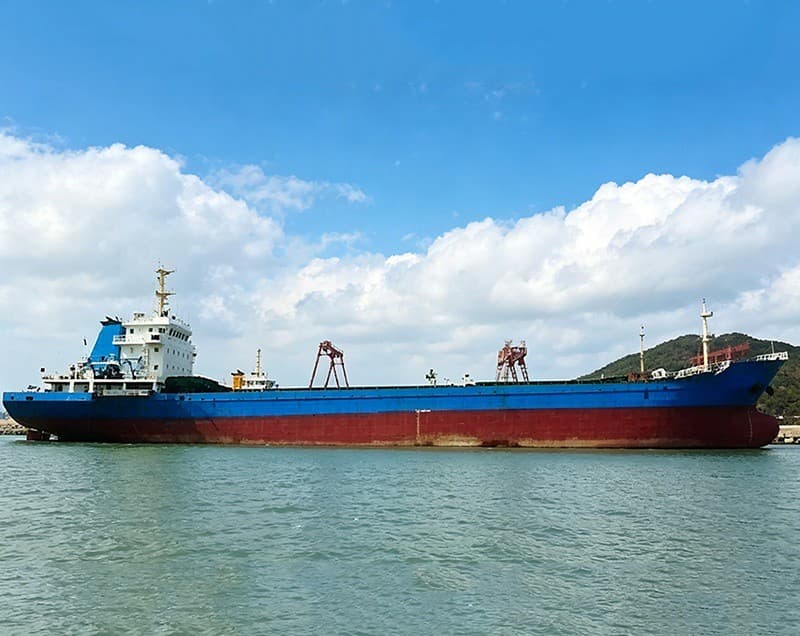 5,005-ton bulk carrier built in 2009
